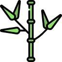 Bamboo